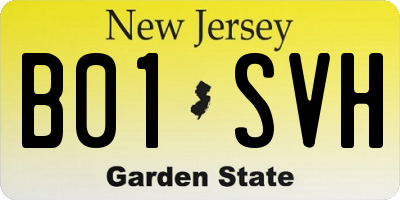 NJ license plate B01SVH