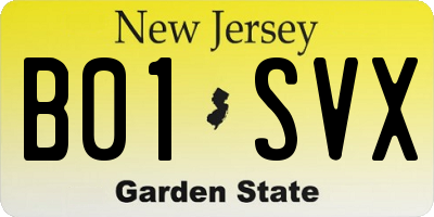 NJ license plate B01SVX