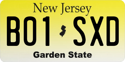 NJ license plate B01SXD