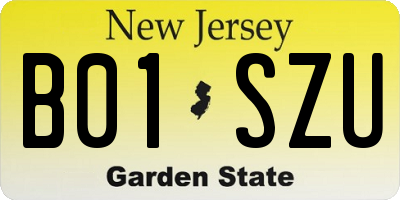 NJ license plate B01SZU