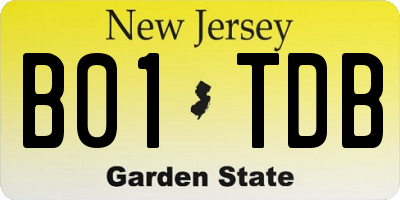 NJ license plate B01TDB