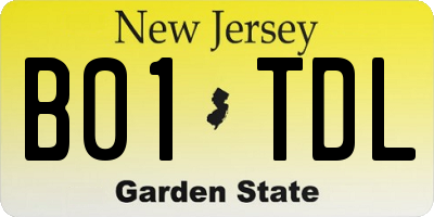 NJ license plate B01TDL