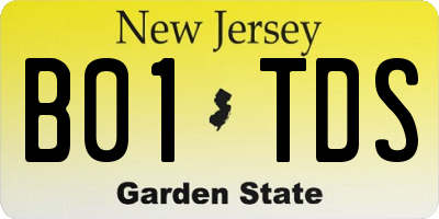 NJ license plate B01TDS