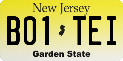 NJ license plate B01TEI