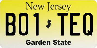 NJ license plate B01TEQ