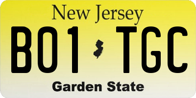 NJ license plate B01TGC