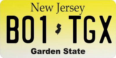 NJ license plate B01TGX