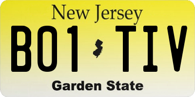 NJ license plate B01TIV