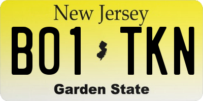NJ license plate B01TKN