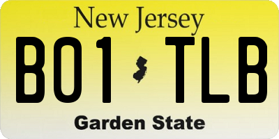 NJ license plate B01TLB