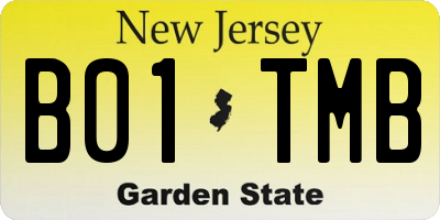 NJ license plate B01TMB