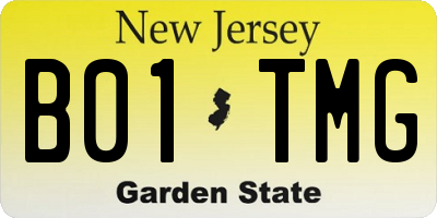 NJ license plate B01TMG