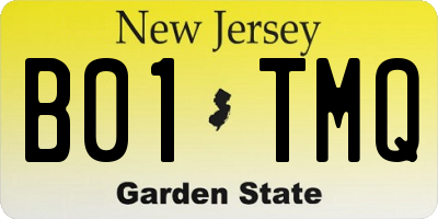 NJ license plate B01TMQ