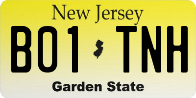 NJ license plate B01TNH