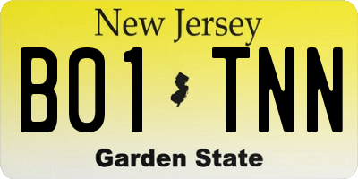 NJ license plate B01TNN