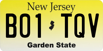 NJ license plate B01TQV