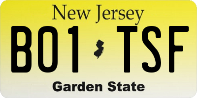 NJ license plate B01TSF