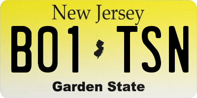 NJ license plate B01TSN