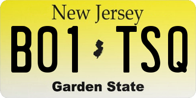 NJ license plate B01TSQ