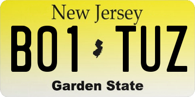 NJ license plate B01TUZ