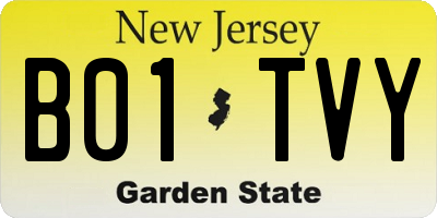 NJ license plate B01TVY