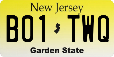 NJ license plate B01TWQ