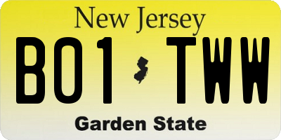 NJ license plate B01TWW