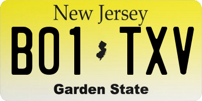 NJ license plate B01TXV