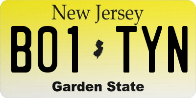 NJ license plate B01TYN