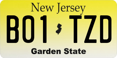 NJ license plate B01TZD