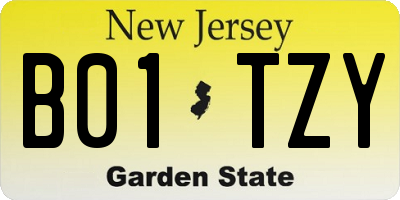 NJ license plate B01TZY