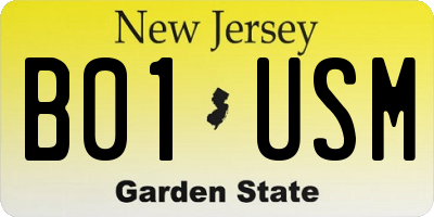 NJ license plate B01USM