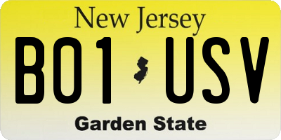 NJ license plate B01USV
