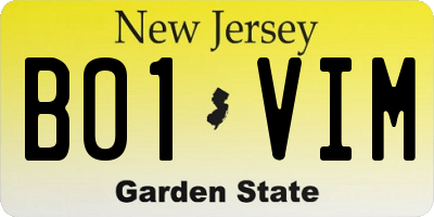 NJ license plate B01VIM