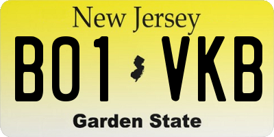 NJ license plate B01VKB