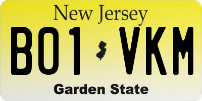 NJ license plate B01VKM