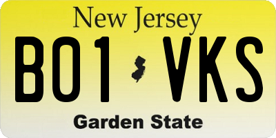 NJ license plate B01VKS