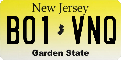 NJ license plate B01VNQ