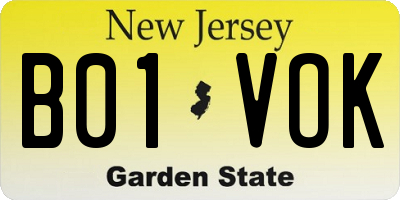 NJ license plate B01VOK