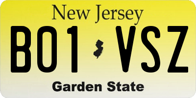 NJ license plate B01VSZ