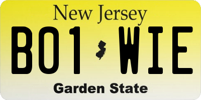 NJ license plate B01WIE
