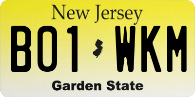 NJ license plate B01WKM