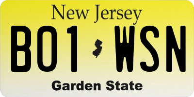 NJ license plate B01WSN