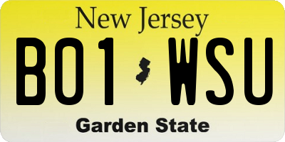 NJ license plate B01WSU