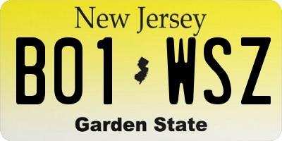NJ license plate B01WSZ