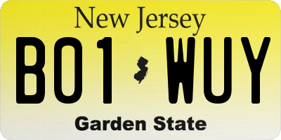 NJ license plate B01WUY