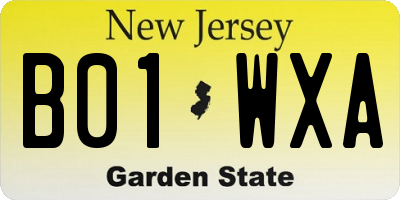 NJ license plate B01WXA