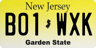 NJ license plate B01WXK