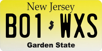 NJ license plate B01WXS