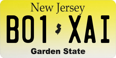 NJ license plate B01XAI